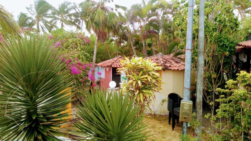 Aldeia Das Flores - Hostel E Camping Jacumã Esterno foto
