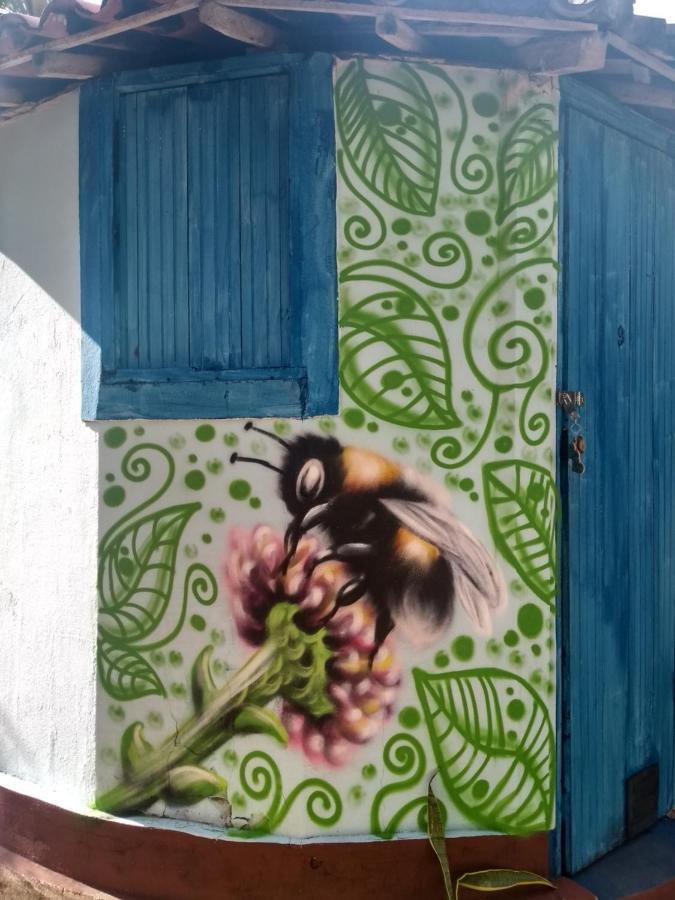 Aldeia Das Flores - Hostel E Camping Jacumã Esterno foto